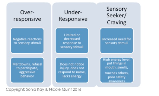 Making Sense of Meltdowns: How to Identify and Intervene For Children ...