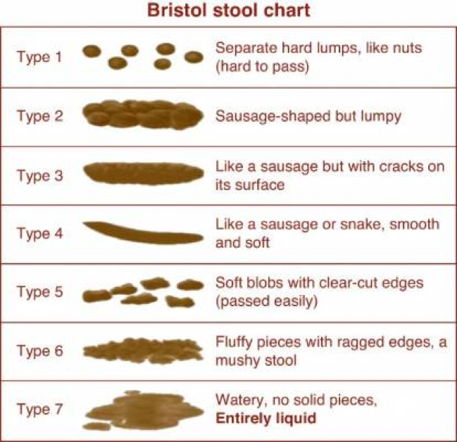 Bristol stool chart illustrating the 7 types of stool from hard lumps to entirely liquid
