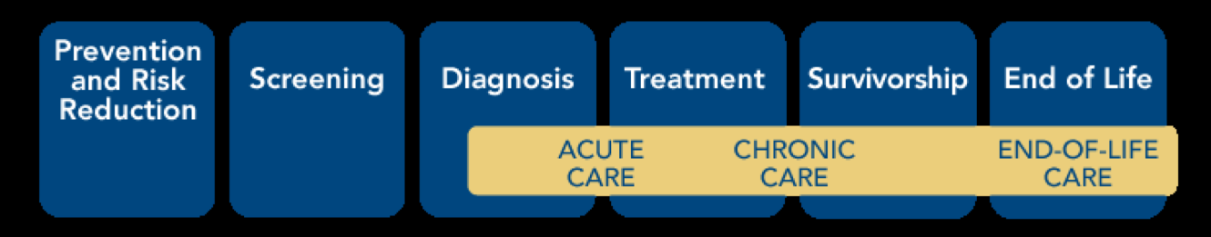 The cancer continuum ranging from prevention and risk reduction to end of life