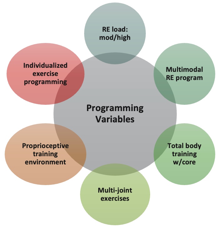 Programming variables for resistance exercises.